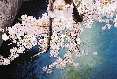 惊艳千年的四十句诗,这些诗句超美却很冷门鲜有人知