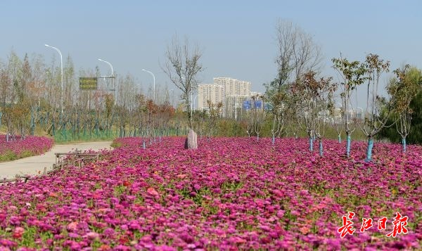 区块链来了，亚洲首发旗舰店也来了……8个项目落户长江新城