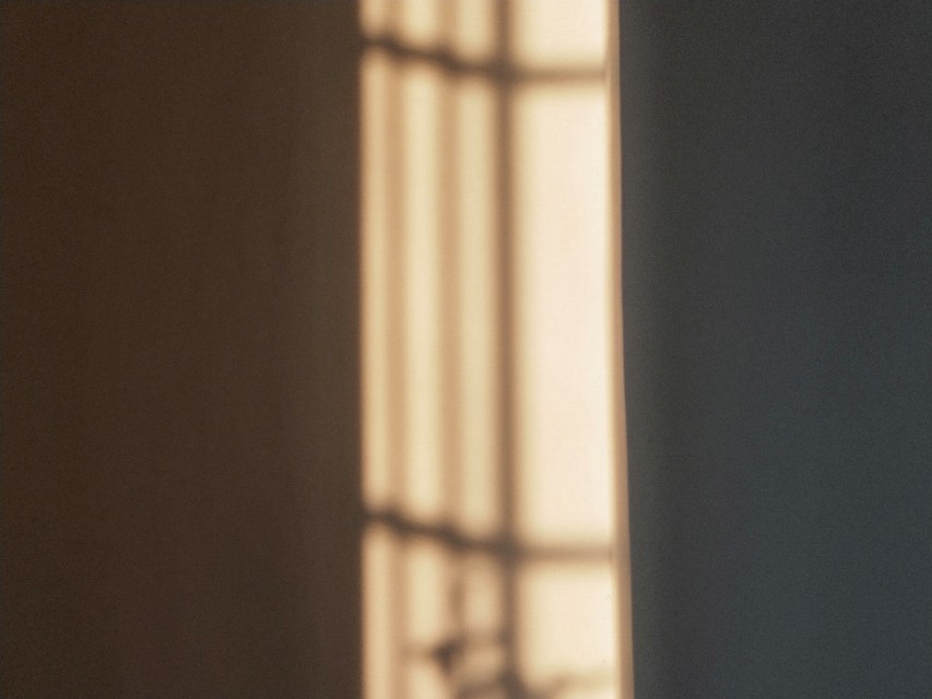 我为什么不建议大学生去打暑假工?