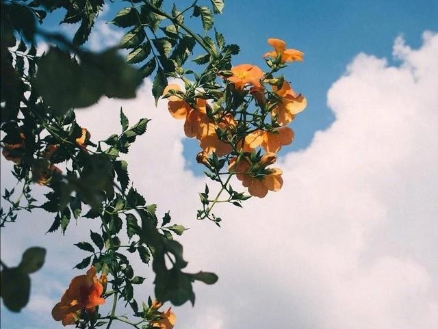 我爱你如命你却伤我入骨,我爱你如痴也恨你入骨