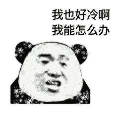 薇娅郎朗,薇娅和吉娜现场