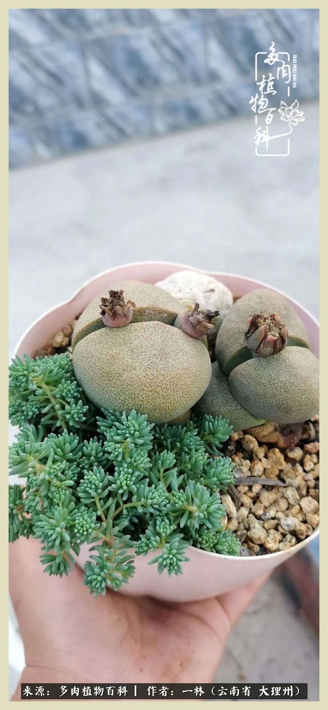 星光不问赶路人文案,时光不负有心人星光不负赶路人