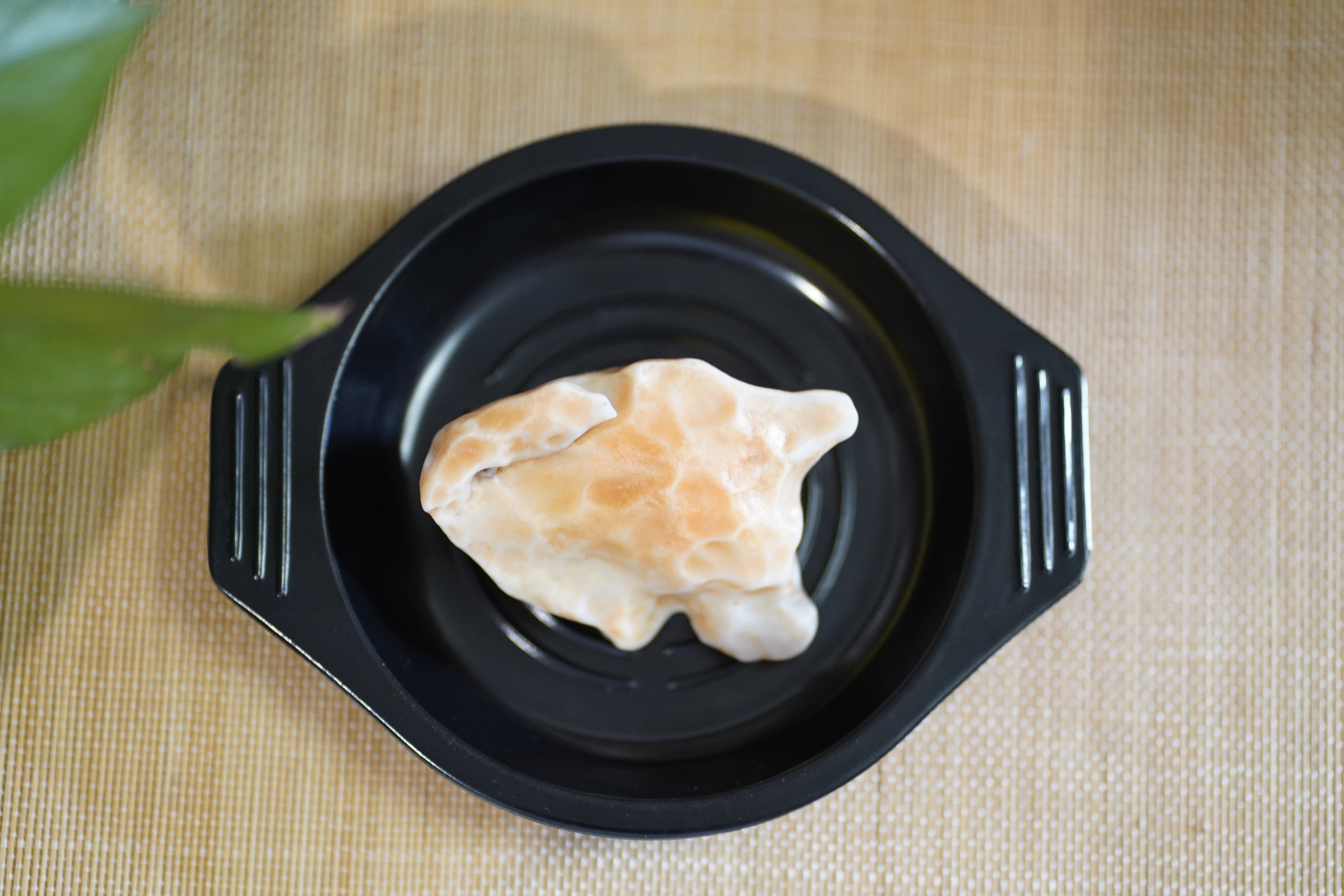 带你了解戈壁明珠石河子,带你了解甘肃