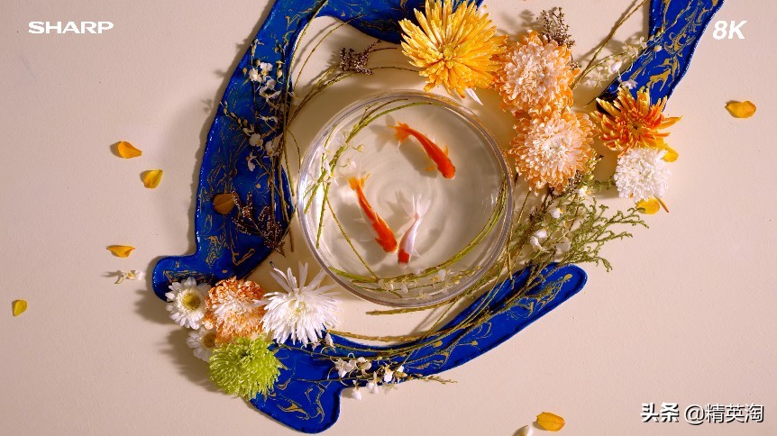 享用4K画质你需要了解的，10款主流4K*放播**器评测