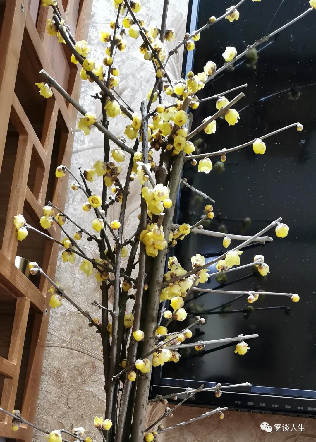 迟来的爱金润吉,迟来的深情