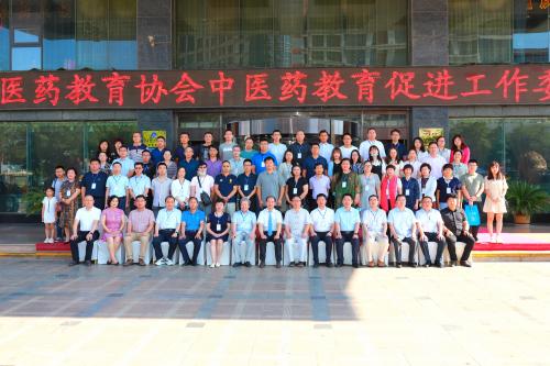 中医药教育协会,中国医药教育协会专家工作委员会