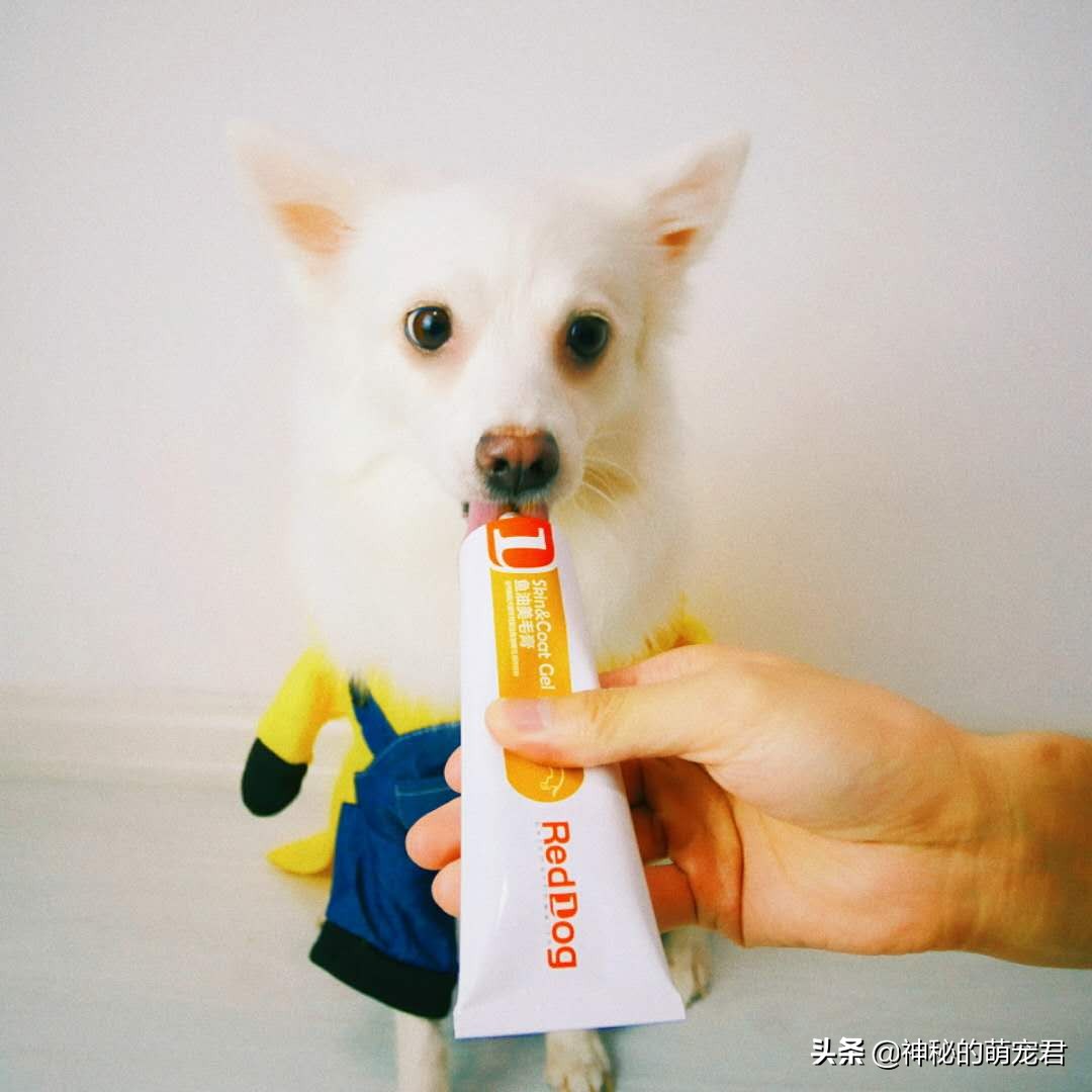 reddog猫咪化毛膏,reddog红狗化毛膏
