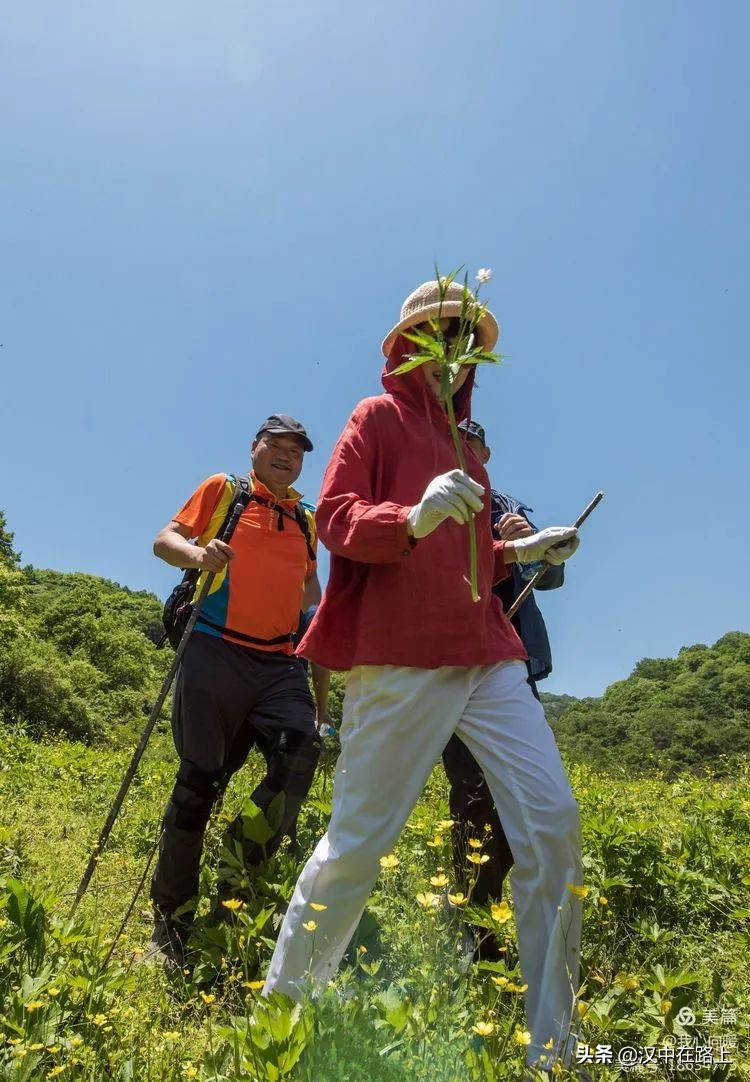 汉中圈子崖天坑,汉中镇巴圈子崖天坑旅游攻略
