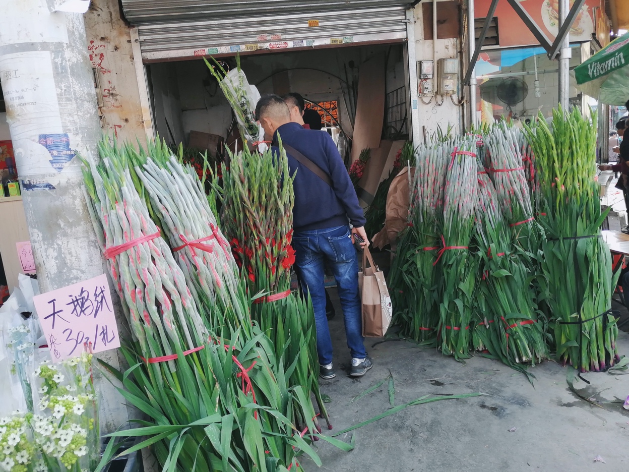 广州岭南花卉市场订花,广州岭南花卉市场攻略