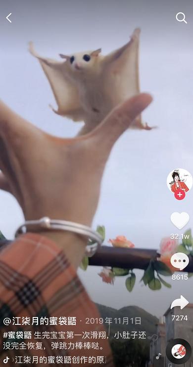 养鸡养兔有前景吗,养鸡养鸭有什么前景