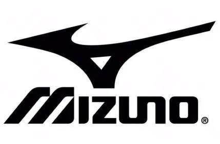 鸿星尔克援助奥运会吗,东京奥运会日本鸿星尔克