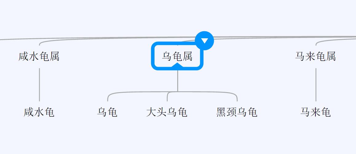百龟图片,百龟高清图片大全