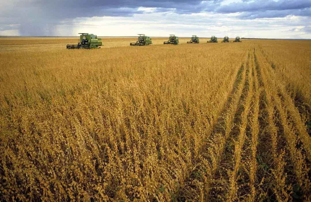 东北菜东北味吃着就是真得劲儿,酱东北菜