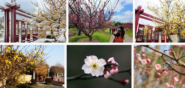 2022上海春节活动汇总,上海旅游文化节