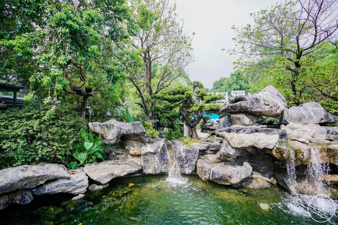 东莞水濂山园林,东莞水濂山湖面风景