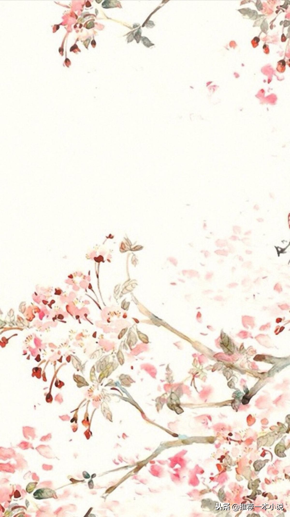 《亿万富婆发家史》作者：茉莉画
