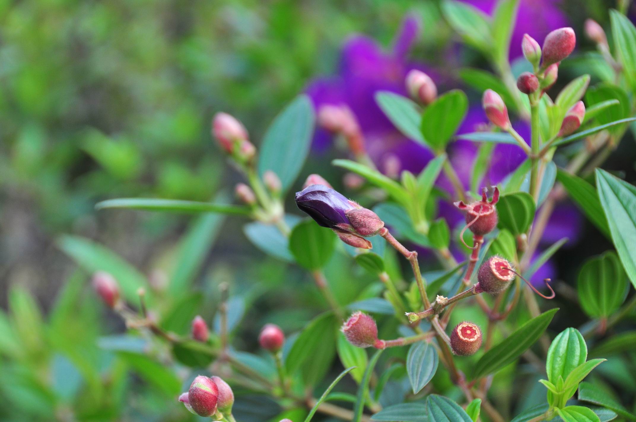 苏轼最优秀的十首词,苏轼最著名的三首词