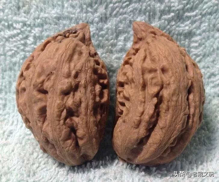 小秋子核桃如何辨别是不是塑料的,秋子核桃的变化过程