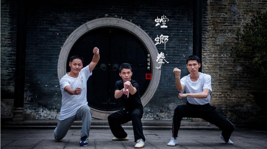 现实中的螳螂拳,中国螳螂拳流派