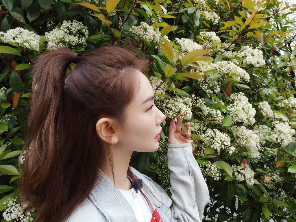 电视剧向往的生活在哪拍的取景地,电视剧向往的生活取景地