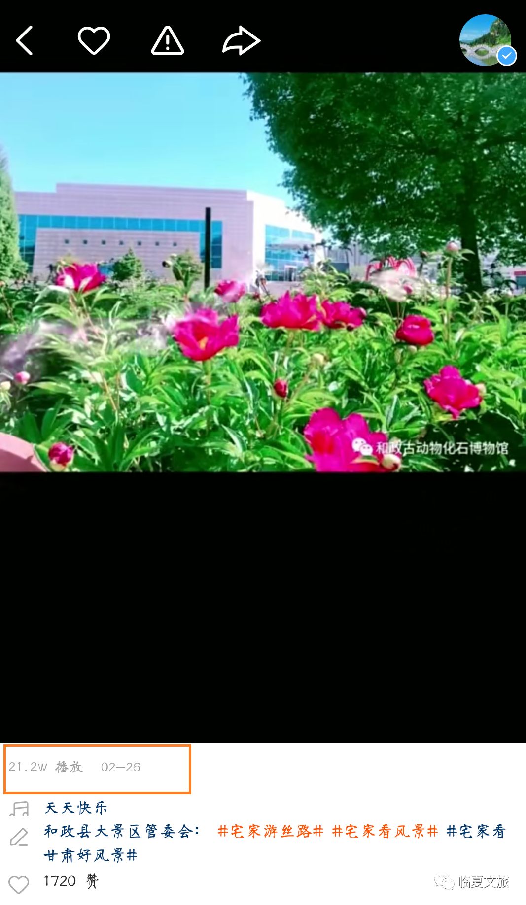 临夏州快手大V宣传视频*放播**量达650万！