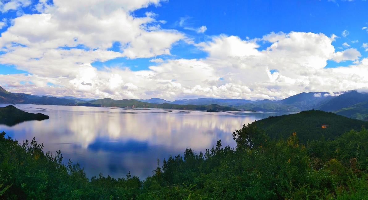 鑲″競涓殑閰哥敎鑻﹁荆,鑲″競缁忓巻閰哥敎鑻﹁荆