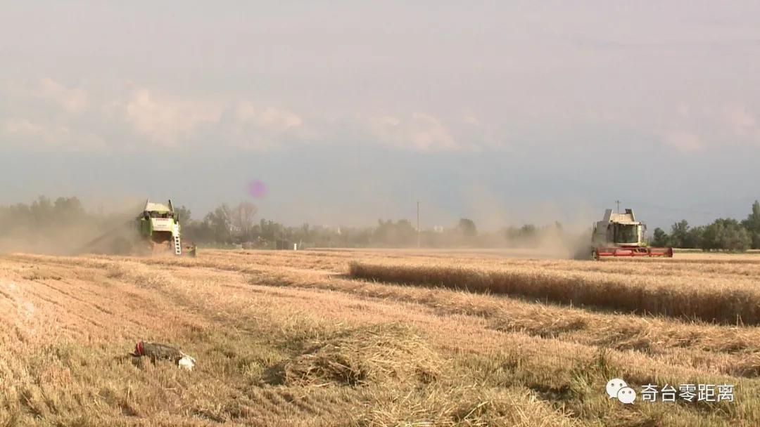 最新型无人驾驶多功能联合收割机,收草联合收割机最新型