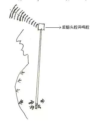 唱歌技巧和发声方法总是学不会,唱歌技巧发声零基础