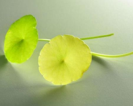 穷不走亲富不还乡自己要看清楚,穷不走亲富不还乡老话说的有道理