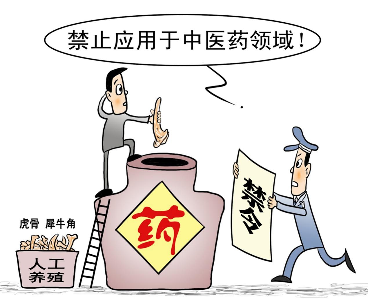 解禁犀牛角虎骨入药，背后是野生动物保护理想与现实的双重考量