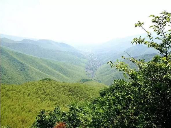 无锡周边游：华藏寺，无锡鼋头渚，金匮公园，宜兴竹海