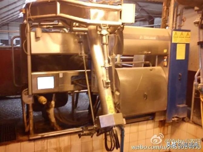 森宝奶粉80年——哺育一代代瑞典人