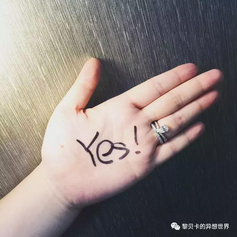 这些东西买的时候肉痛却天天用，她们说值了