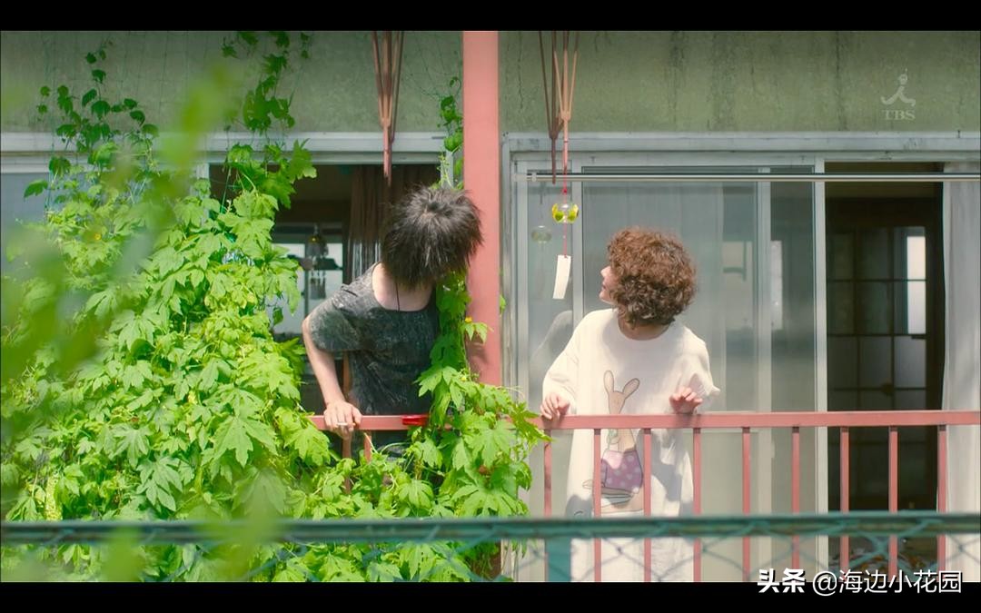 夏天的味道—金铃子（赖葡萄），充满幸福的幸运黄色苦瓜