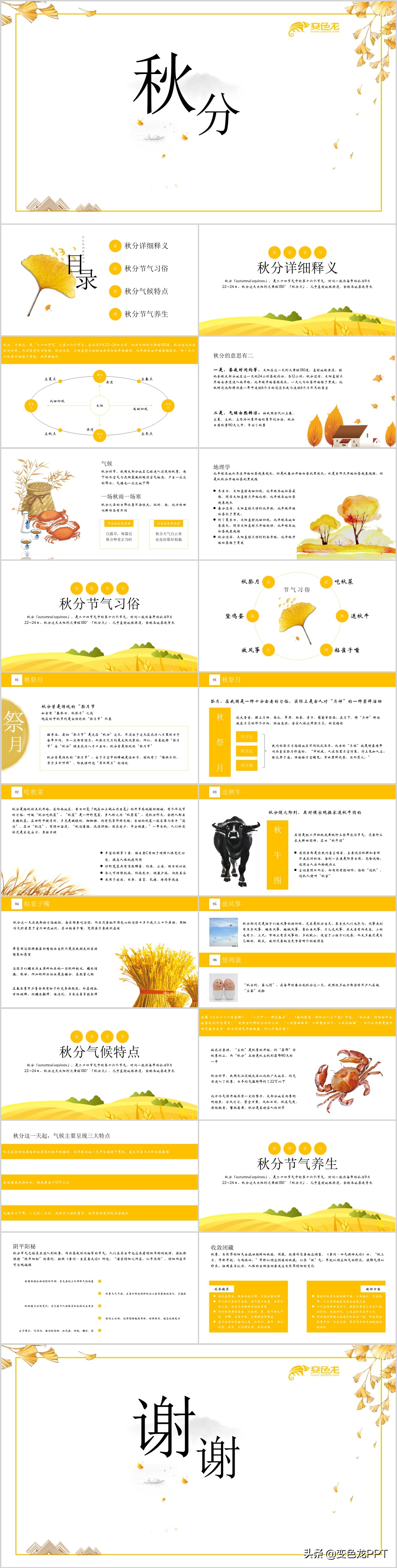 秋分ppt模板下载,秋分主题课件ppt图片