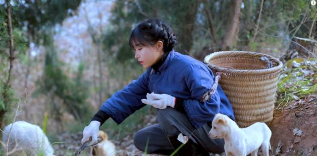 20岁网红董事长张曼如,23岁网红董事长张曼如