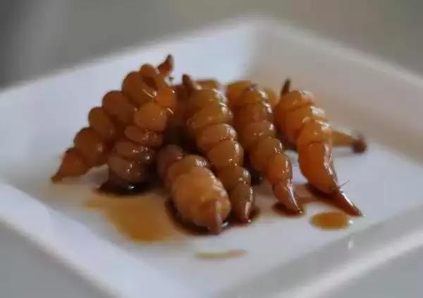 【小知识】我们常吃的腌菜，原来是用它们做的~