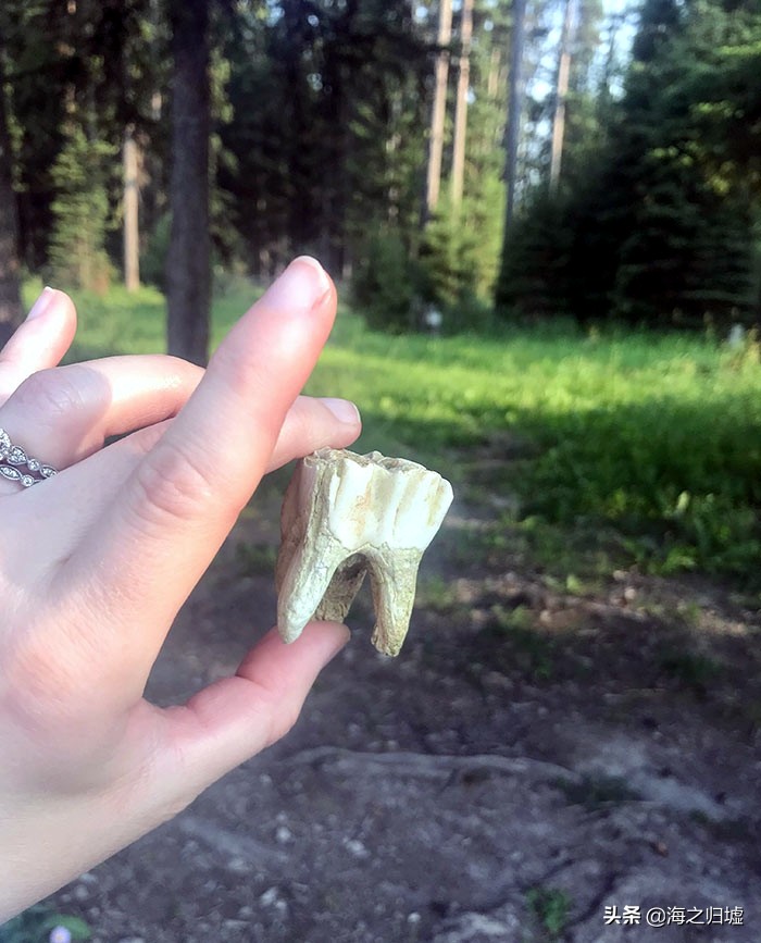 最神奇的头发图片,最美变色头发女孩照片大全