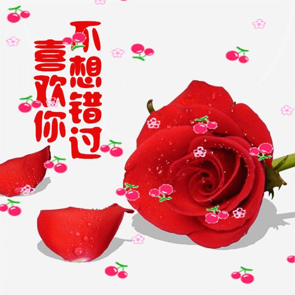 明日七夕，777幸福花送给群里所有的朋友，谁打开，谁幸福