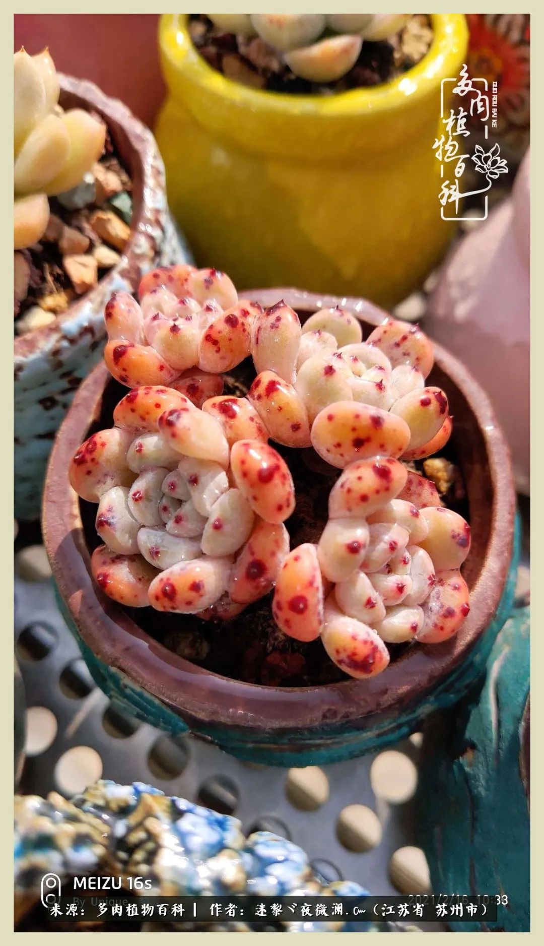 秋尽冬来岁月不居时节如流,岁月不居时节如流水