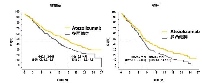 在艰巨中前行的感悟,肺鳞癌治疗指南