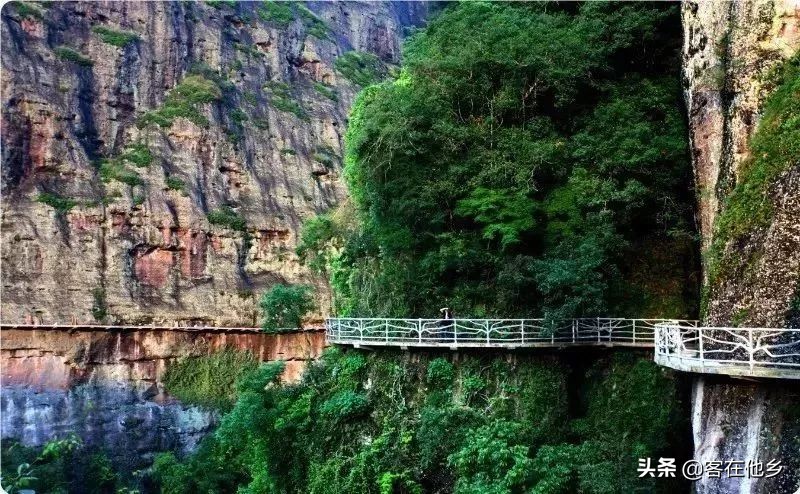 本港台播放过的动画,本港台曾经推出的纪录片