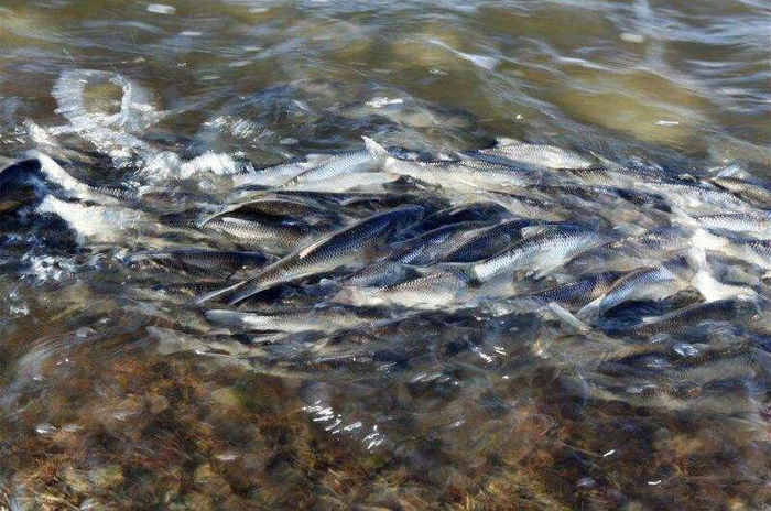 五一赤峰游玩攻略省钱,五一从赤峰出发去哪里玩