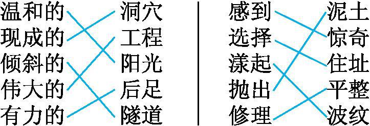 部编版3年级必背知识点,部编版语文1-6年级知识与积累