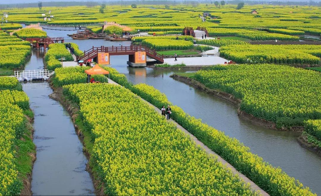 2022年200亿的农业补贴怎么发放,国家先给钱后建设的农业补贴项目