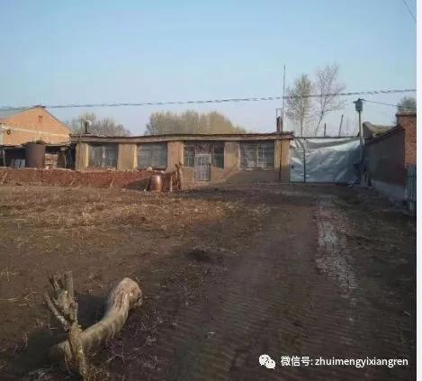 家乡的老屋已成永远的回忆,家乡的老屋场在哪里