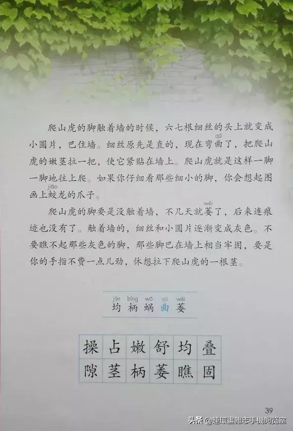 四年级上册语文电子课本,四年级上册语文课本内容