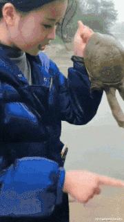 搞笑gif趣图姑娘有话好好说别动手,开心一刻gif搞笑动图