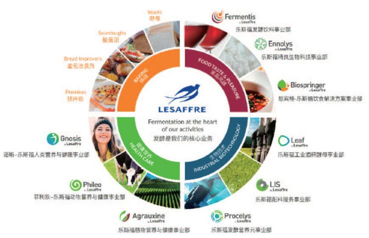 来了来了~你心水的大牌新品首发、线上线下营销活动都在这里，千万不能错过！