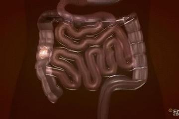 浣犵殑韬綋鍒板簳闀夸粈涔堟牱,浣犵煡閬撲綘鐨勮韩浣撻暱鍟ユ牱瀛愬悧